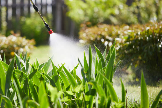 Tamper-Resistant Bait Stations for Rodents in East Hills
