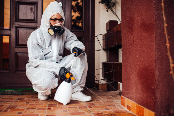 Attic and Crawl Space Rodent Treatment in East Hills